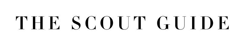 the-scout-guide-logo